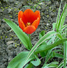 P1350482