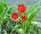 P1350484