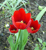 P1350489