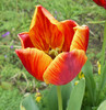 P1360390