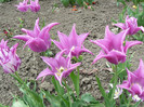 P1360442