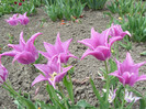 P1360446