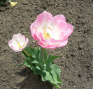 P1360455