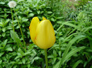 P1370055
