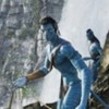 Avatar-Avatar-388118,51712