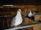 DSCN0636