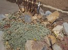 DSC00078