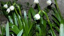 DSCN0119