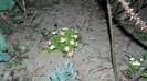 DSCN0163