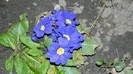 DSCN0168