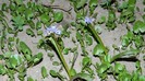 DSCN0176