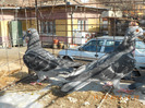 DSCN0655