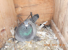 DSCN0649