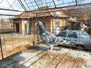 DSCN0651