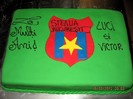 tort Steaua