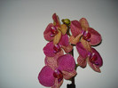 DSC01933