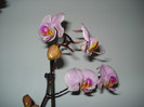 DSC01962