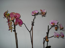 DSC01961