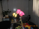 DSCN0224