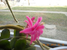 DSCN0226