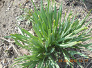 DSCN0236