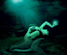 the_belly_dancing_mermaid_by_jerryartzdesign-d4swahk