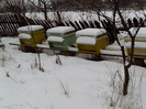 martie 2012 003