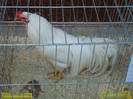 DSC00199