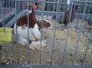 DSC00171