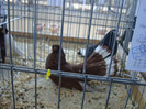 DSC00170