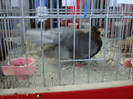 DSC00233