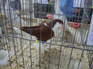 DSC00246