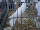 DSC00258