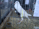 DSC00259