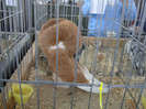 DSC00268