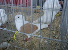 DSC00286