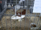 DSC00287