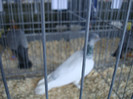 DSC00290