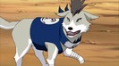 Shiba-naruto-shippuuden-19172656-706-397
