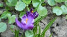 DSCN0180