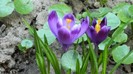 DSCN0243