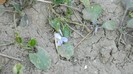 DSCN0260
