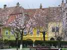 Sighisoara
