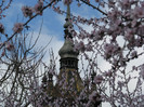 Sighisoara