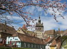 Sighisoara