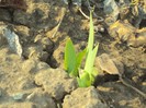 DSC00124