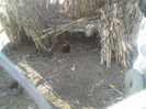 P18-03-12_16.01[1]