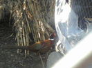 P18-03-12_16.02[4]