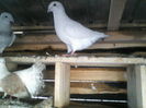 P18-03-12_16.03[2]