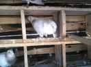 P18-03-12_16.03[3]